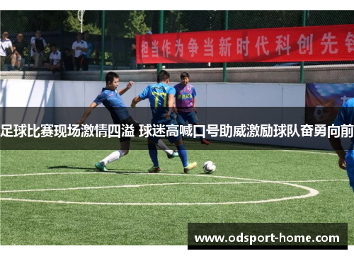 足球比赛现场激情四溢 球迷高喊口号助威激励球队奋勇向前