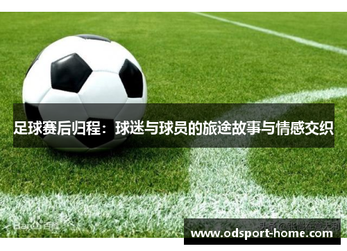 足球赛后归程:球迷与球员的旅途故事与情感交织