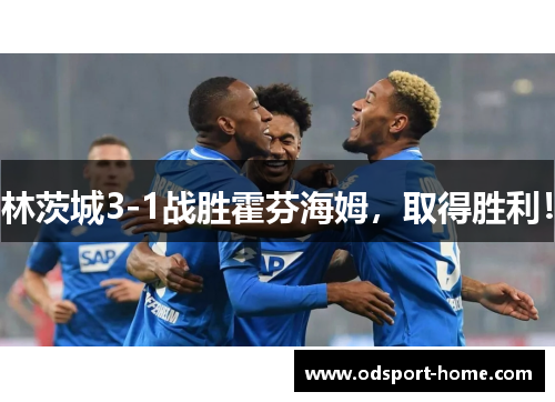 林茨城3-1战胜霍芬海姆,取得胜利!